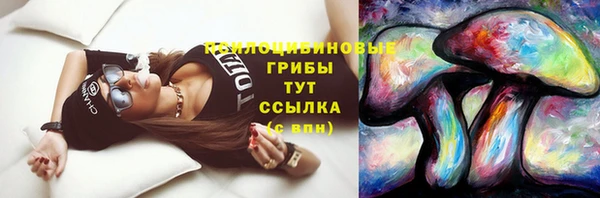 индика Кулебаки