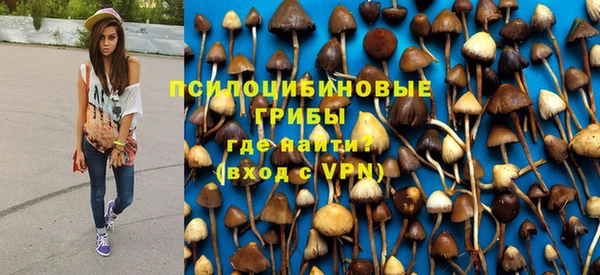 индика Кулебаки