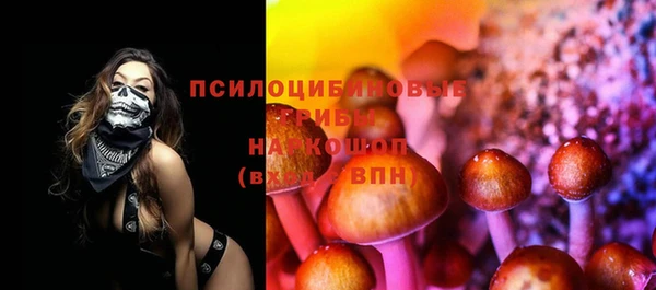 индика Кулебаки