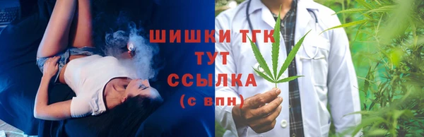 индика Кулебаки