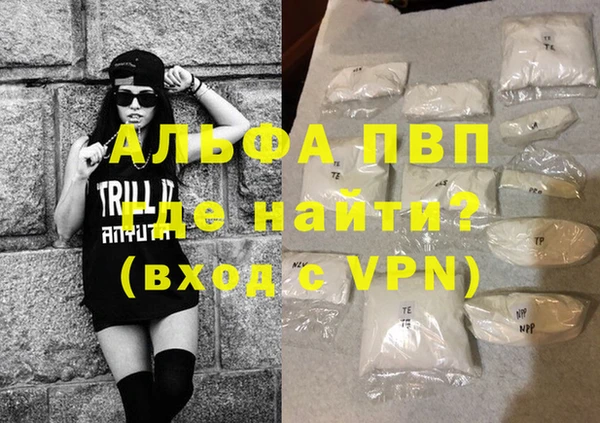 индика Кулебаки
