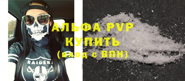 индика Кулебаки