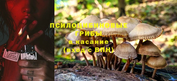 индика Кулебаки