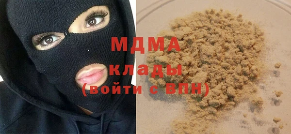 индика Кулебаки