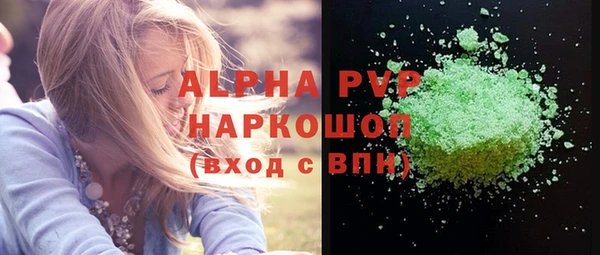 индика Кулебаки