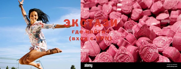 индика Кулебаки