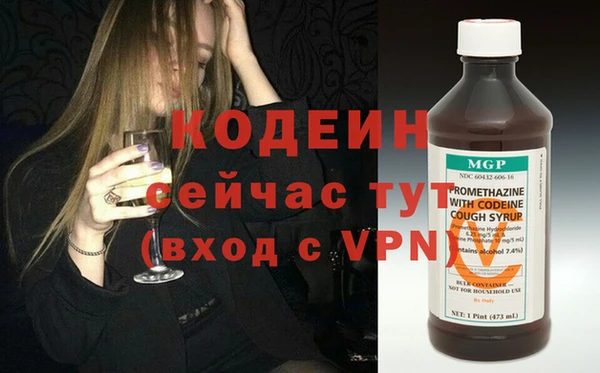 индика Кулебаки