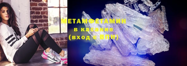 индика Кулебаки