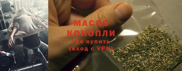 индика Кулебаки