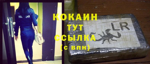 индика Кулебаки